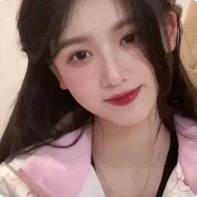 老处女日记