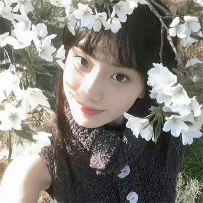 信长之枪